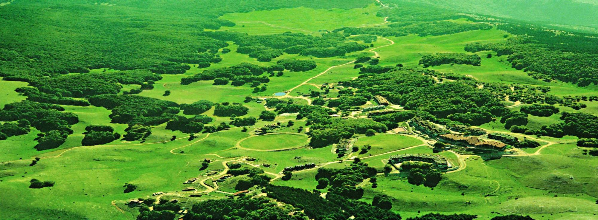 Pagano-house-wood-heritage-1975-aerial-project