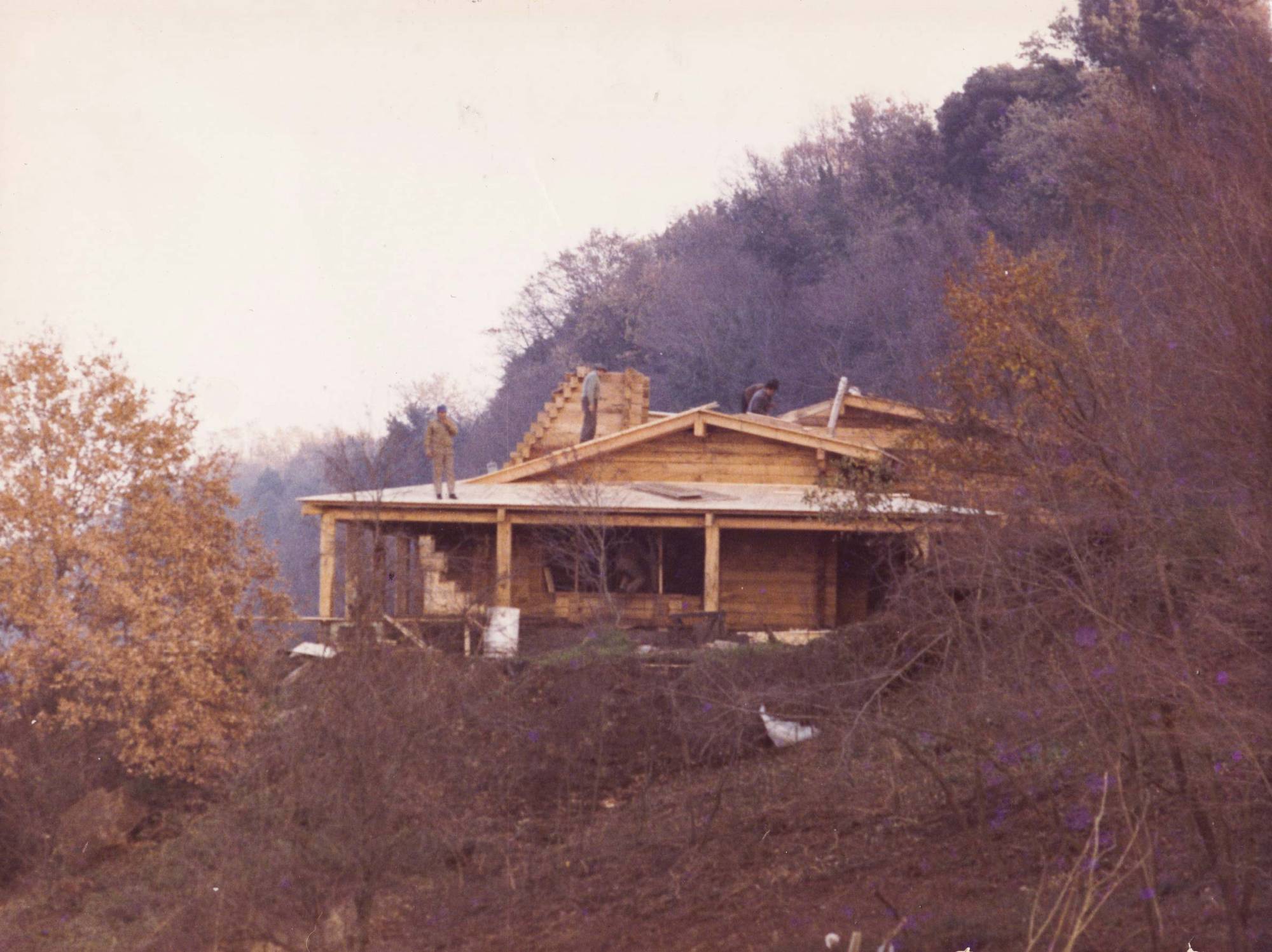 Pagano-house-wood-heritage-1959-construction